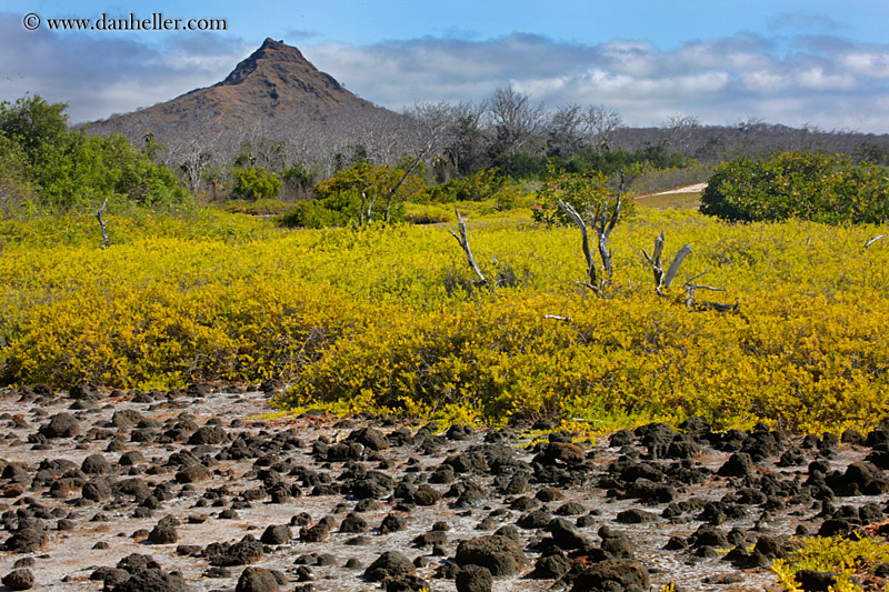 cerro-montura-16.jpg