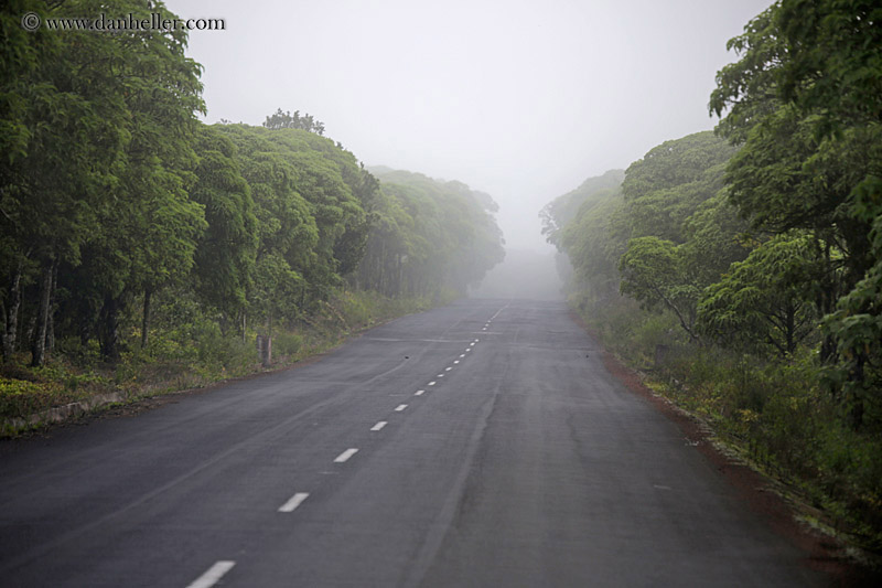 foggy-road-01.jpg