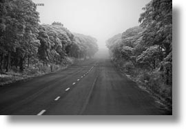 images/LatinAmerica/Ecuador/GalapagosIslands/SantaCruz/GemelosSinkHole/foggy-road-01-bw.jpg