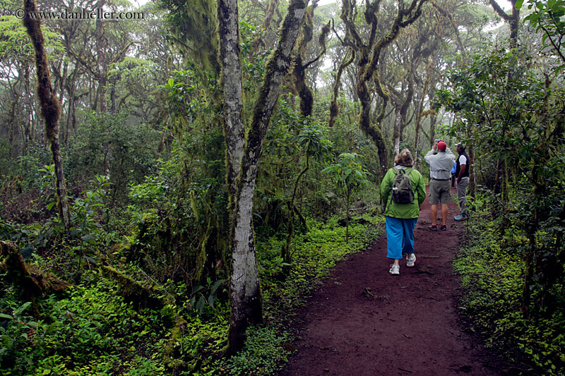 red-dirt-path-01.jpg