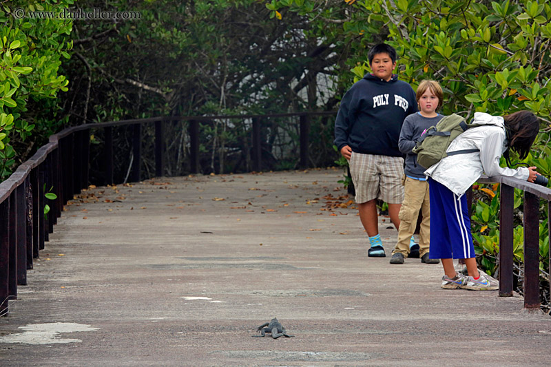 kids-n-iguana-on-deck.jpg