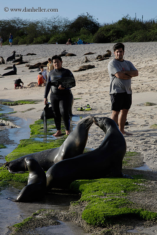 kids-n-sea_lion-02.jpg