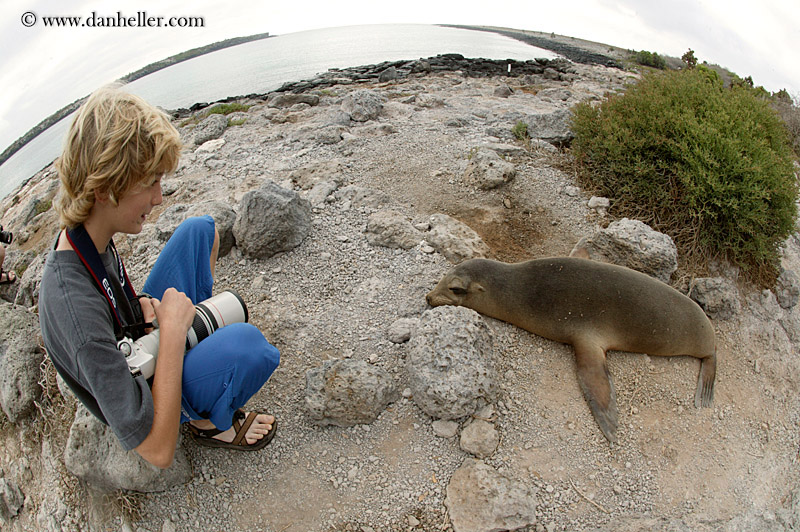 kids-n-sea_lion-03.jpg