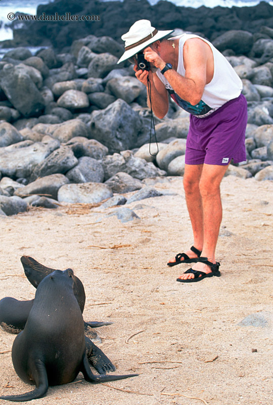 photographing-sea_lion-02.jpg