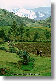 images/LatinAmerica/Ecuador/Highlands/field-hiking-b.jpg