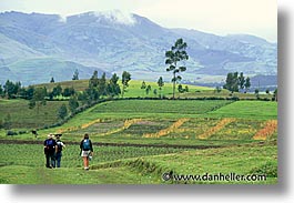 images/LatinAmerica/Ecuador/Highlands/field-hiking-c.jpg