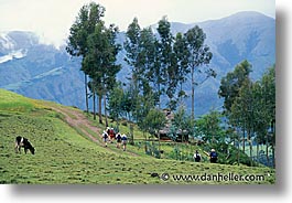 images/LatinAmerica/Ecuador/Highlands/hikers.jpg