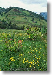images/LatinAmerica/Ecuador/Highlands/scenic-c.jpg