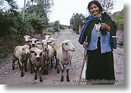 images/LatinAmerica/Ecuador/People/woman-sheep.jpg