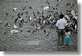images/LatinAmerica/Ecuador/Quito/Children/father-girl-n-pigeons.jpg