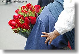 images/LatinAmerica/Ecuador/Quito/Misc/red-roses-n-baby-hand.jpg