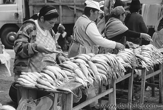 fish-market.jpg