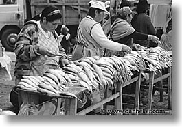 images/LatinAmerica/Ecuador/Saquisili/fish-market.jpg
