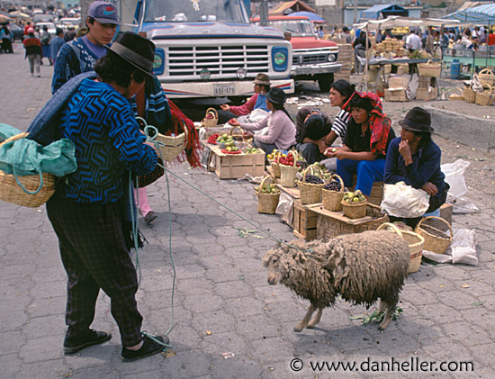 saquisili-market-a.jpg