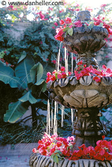 flower-fountain.jpg