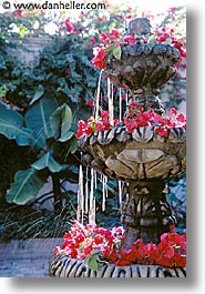 alamos, flowers, fountains, latin america, mexico, vertical, photograph
