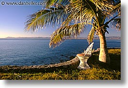 chairs, horizontal, latin america, mexico, palms, punta chivato, photograph