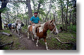 images/LatinAmerica/Patagonia/Animals/Horses/goucho-n-horses-1.jpg