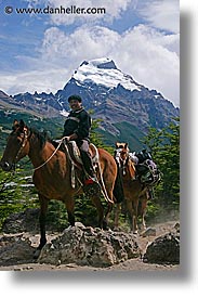 images/LatinAmerica/Patagonia/Animals/Horses/goucho-n-horses-2.jpg