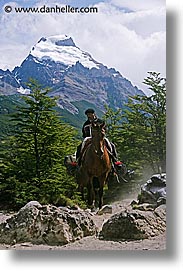 images/LatinAmerica/Patagonia/Animals/Horses/goucho-n-horses-3.jpg
