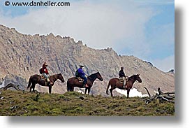 images/LatinAmerica/Patagonia/Animals/Horses/horseback-riding-1.jpg
