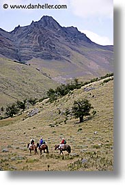 images/LatinAmerica/Patagonia/Animals/Horses/horseback-riding-3.jpg