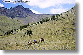 images/LatinAmerica/Patagonia/Animals/Horses/horseback-riding-4.jpg
