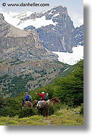 images/LatinAmerica/Patagonia/Animals/Horses/horseback-riding-5.jpg