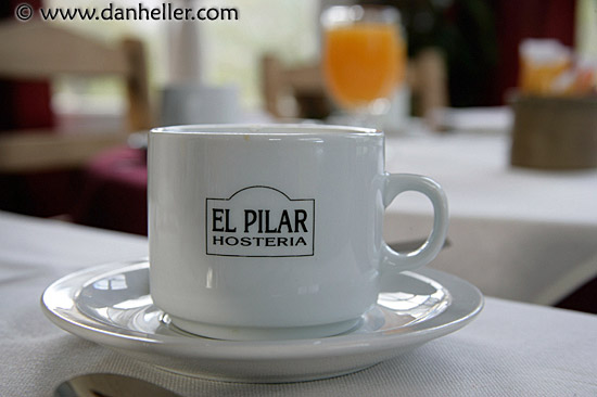 el-pilar-cup.jpg