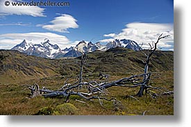 images/LatinAmerica/Patagonia/Mountains/dead-tree-n-mtns.jpg