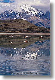 images/LatinAmerica/Patagonia/Mountains/mountain-reflect-a.jpg
