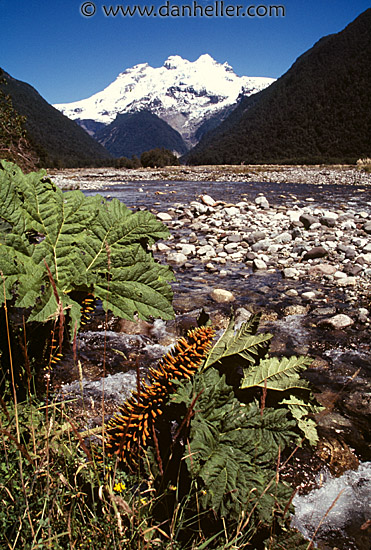 mountain-stream-a.jpg