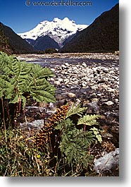 images/LatinAmerica/Patagonia/Mountains/mountain-stream-a.jpg