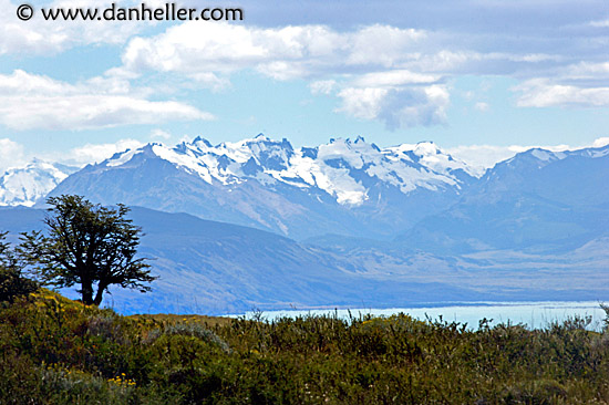 tree-n-mtns.jpg