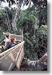 images/LatinAmerica/Peru/Amazon/Canopy/canopy-0008.jpg