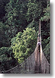 images/LatinAmerica/Peru/Amazon/Canopy/canopy-0009.jpg