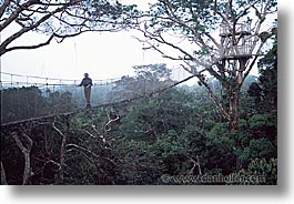 images/LatinAmerica/Peru/Amazon/Canopy/canopy-0010.jpg
