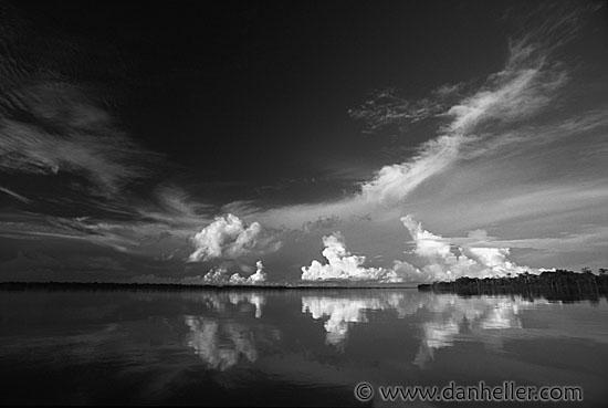 amazon-0012-bw.jpg