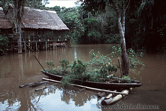 flower-canoe.jpg