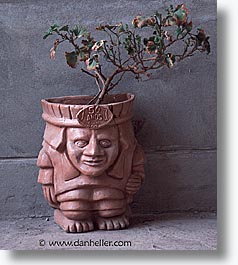 images/LatinAmerica/Peru/Cuzco/potted-plant.jpg