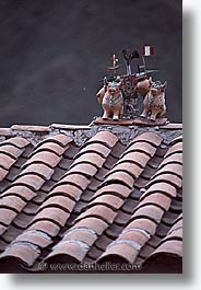 images/LatinAmerica/Peru/Cuzco/rooftop-cows.jpg