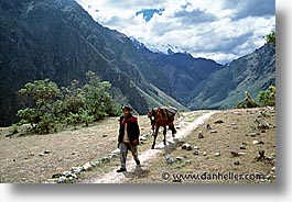 images/LatinAmerica/Peru/IncaTrail/Quechua/man-and-horse.jpg