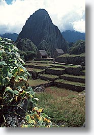 images/LatinAmerica/Peru/IncaTrail/Ruins/MachuPicchu/m-picchu-0012.jpg