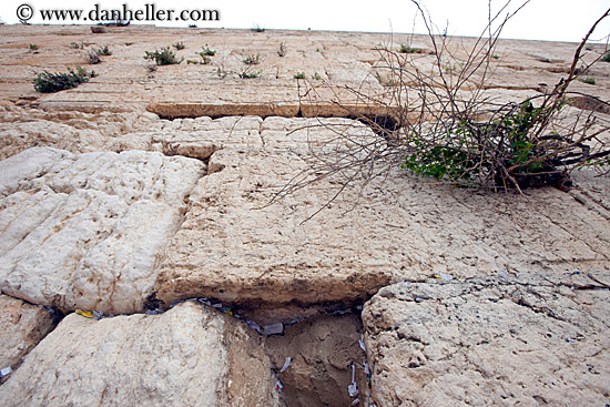 western-wall-upview.jpg