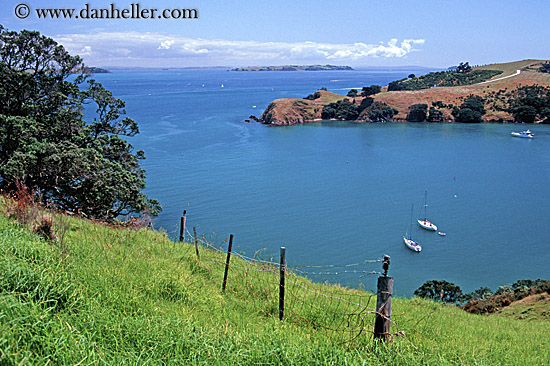 boats-waiheke-island-02.jpg