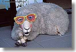 images/NewZealand/Auckland/sheep-in-glasses.jpg