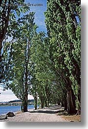 images/NewZealand/LakeWanaka/trees-04.jpg