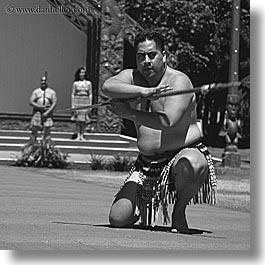 images/NewZealand/Maori/maori-dance-06.jpg