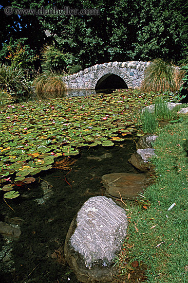 lilly-pond-n-bridge.jpg