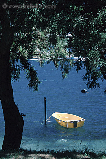 queenstown-harbor-boats-10.jpg